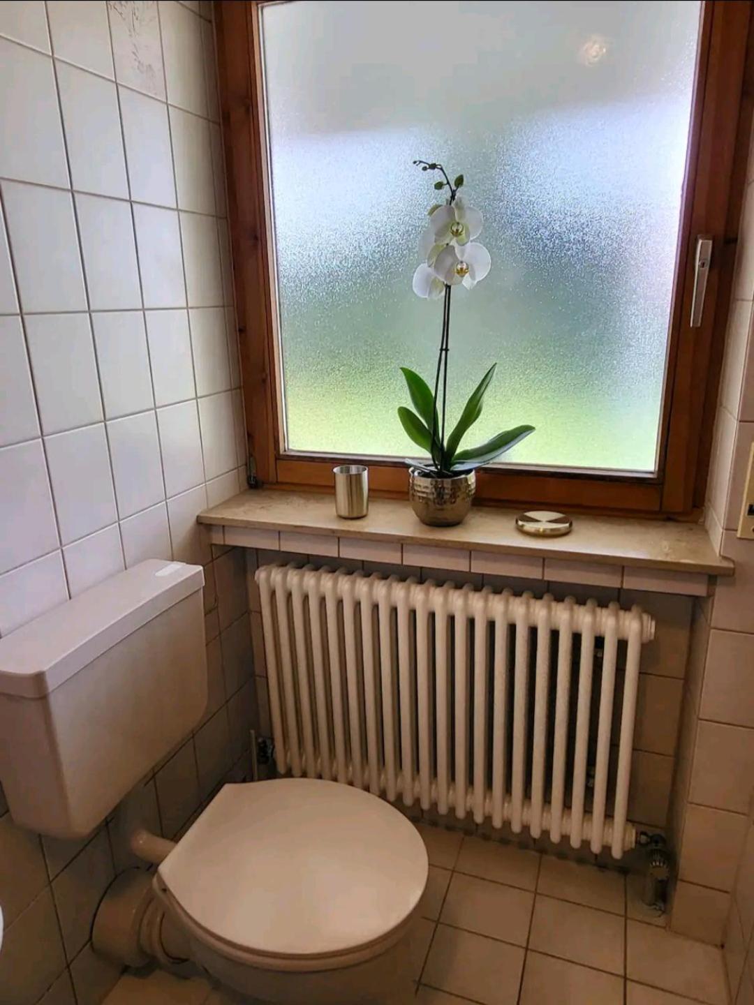 Ferienwohnung Am Bodensee Tettnang Exterior foto